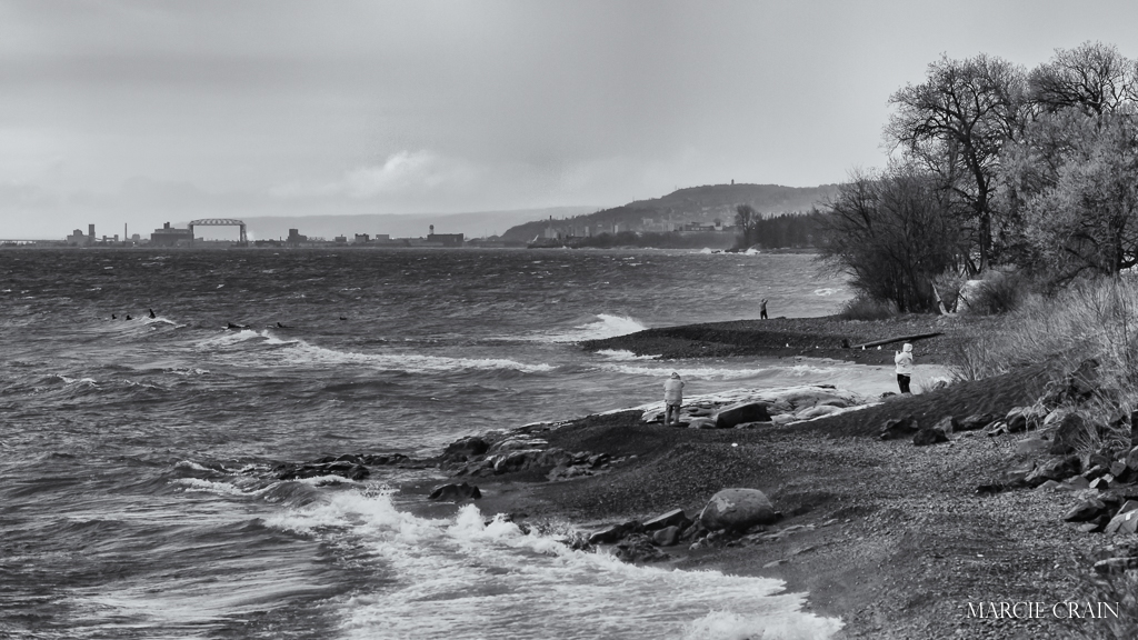 2015.05.10 Surfers Lester--2