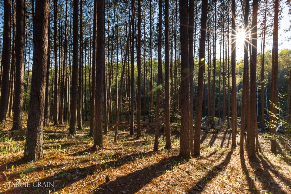 2015.05.19 Seven Bridges Road-8399